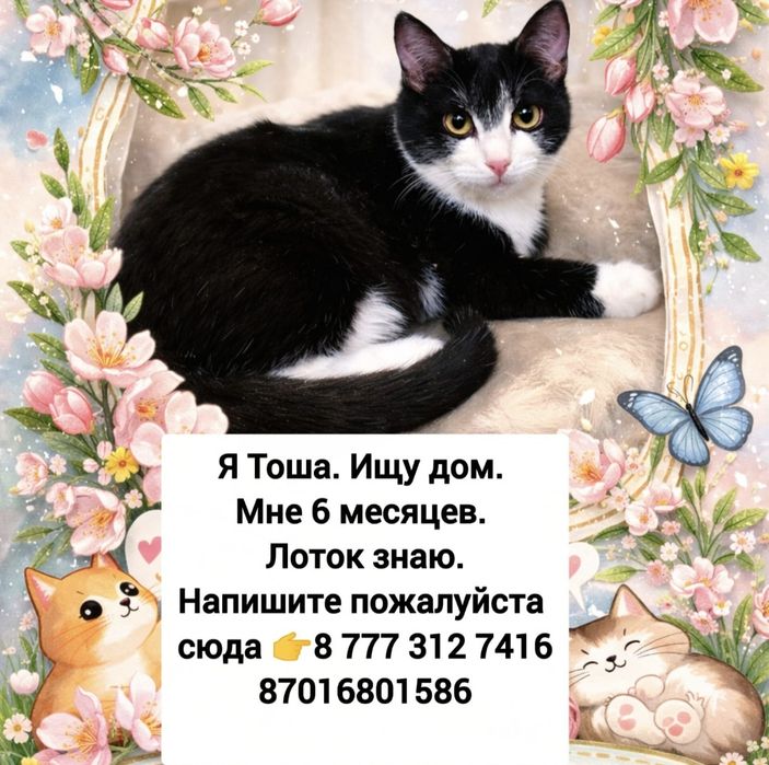 В самые добрые ручки