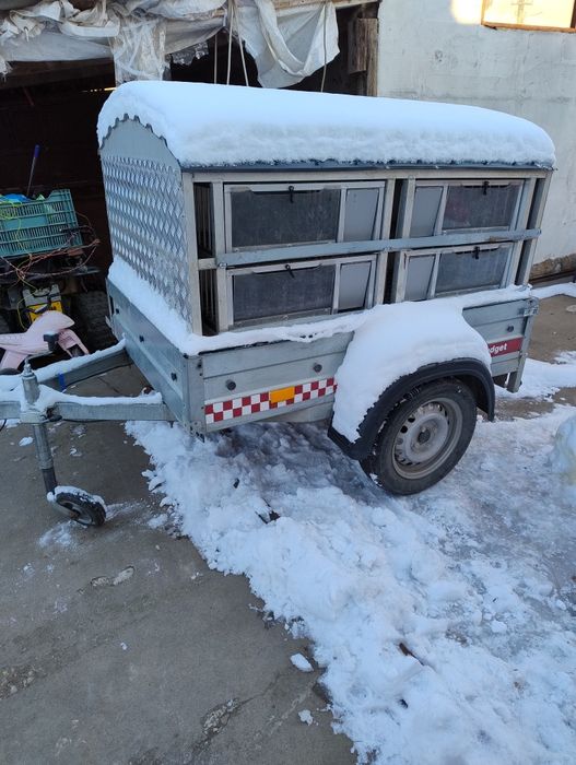 Remorca transport porumbei