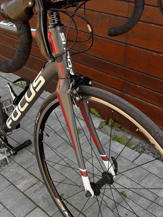 Focus Cayo Bicicleta Sosea