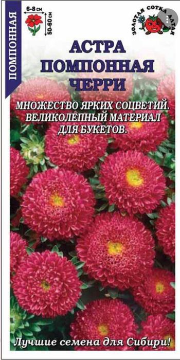Шу гул уругларидан бор