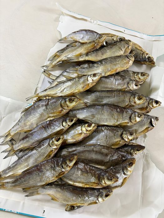 Рыбец Атырауский