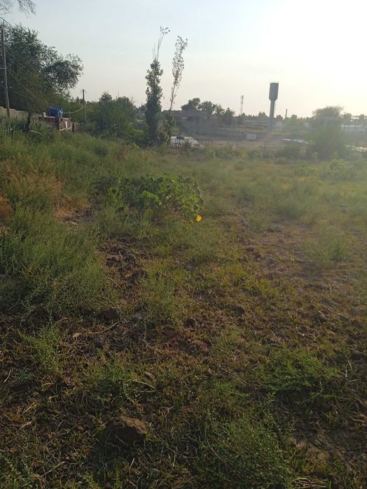 Yer sotiladi qurilish uchun ham dehqonchilik qilishgayam zór yerlar