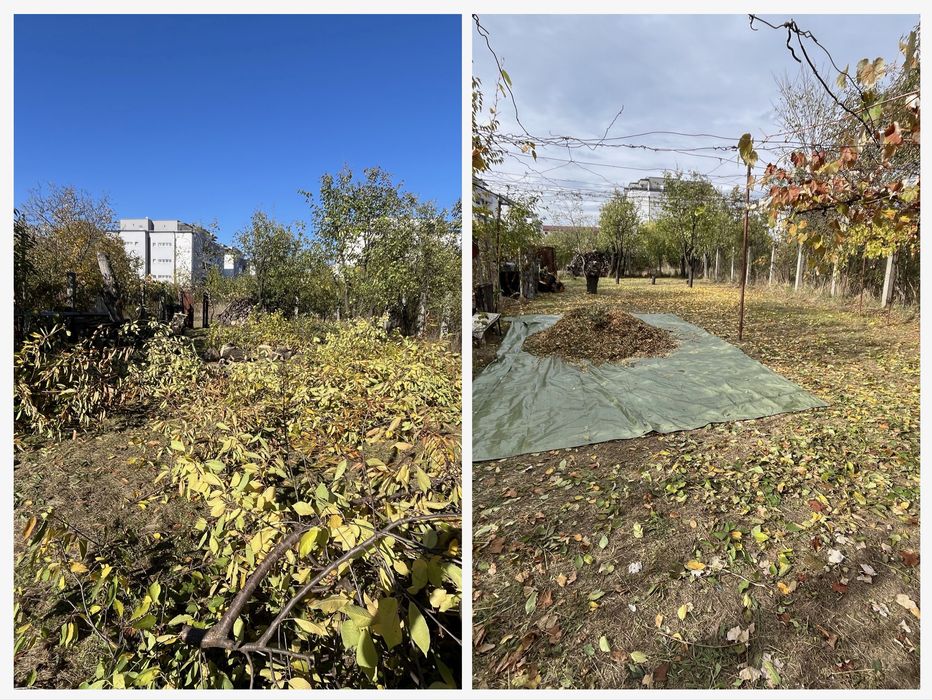 Gradinarit, toaletare copaci, tocat crengi, mentenanta spatii verzi