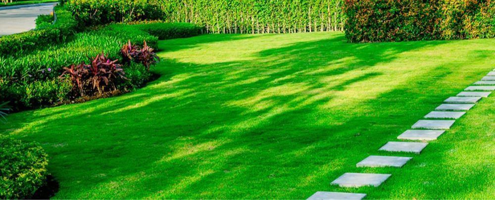 Gazon.Gullar.Archa.Landshaftdizayn.Daraxt