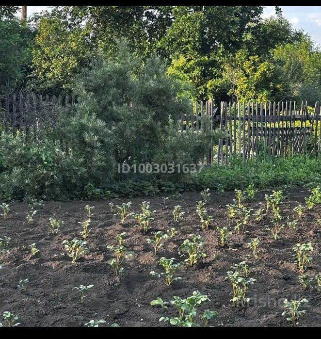 Продам дачу 10 соток