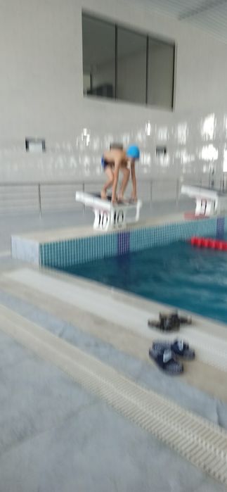 Катталар ва болалар учун сузиш машгулоти