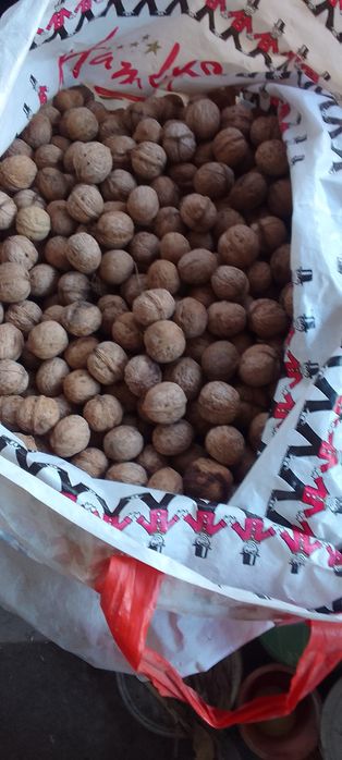 Орехи мелкие грецкие