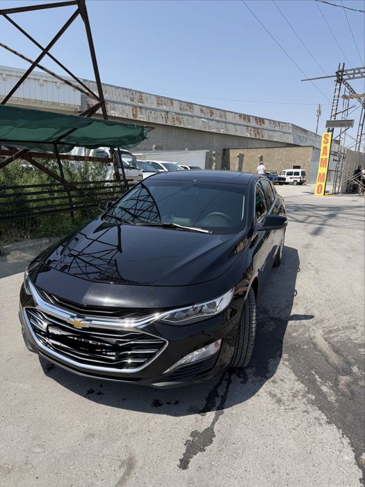 Malibu 2022 tozza primier