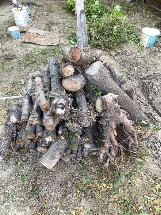 Дрова готовые для испрльзрвания