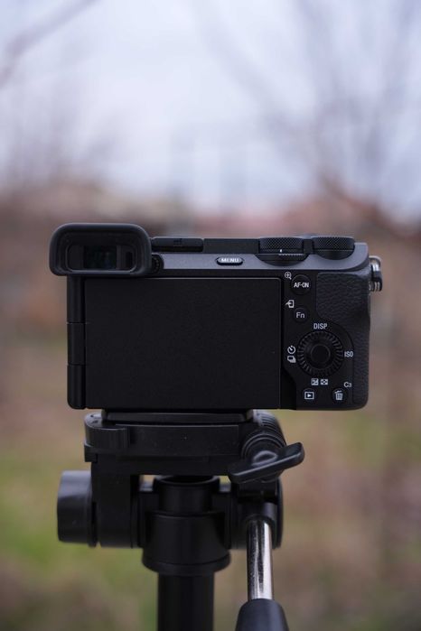 Sony A6700 + Sigma 18-50mm f2.8