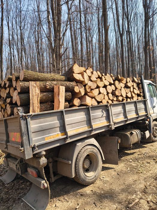 Lemn de foc stejar uscat