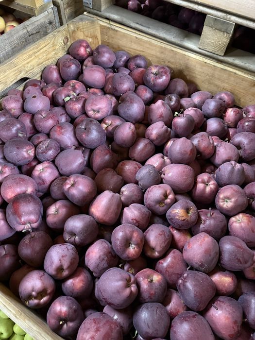 Vând Mere De vanzare De Polonia Calitate Extra orice soi