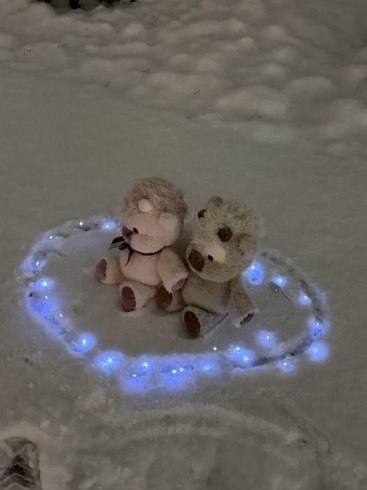 бегающий теленок