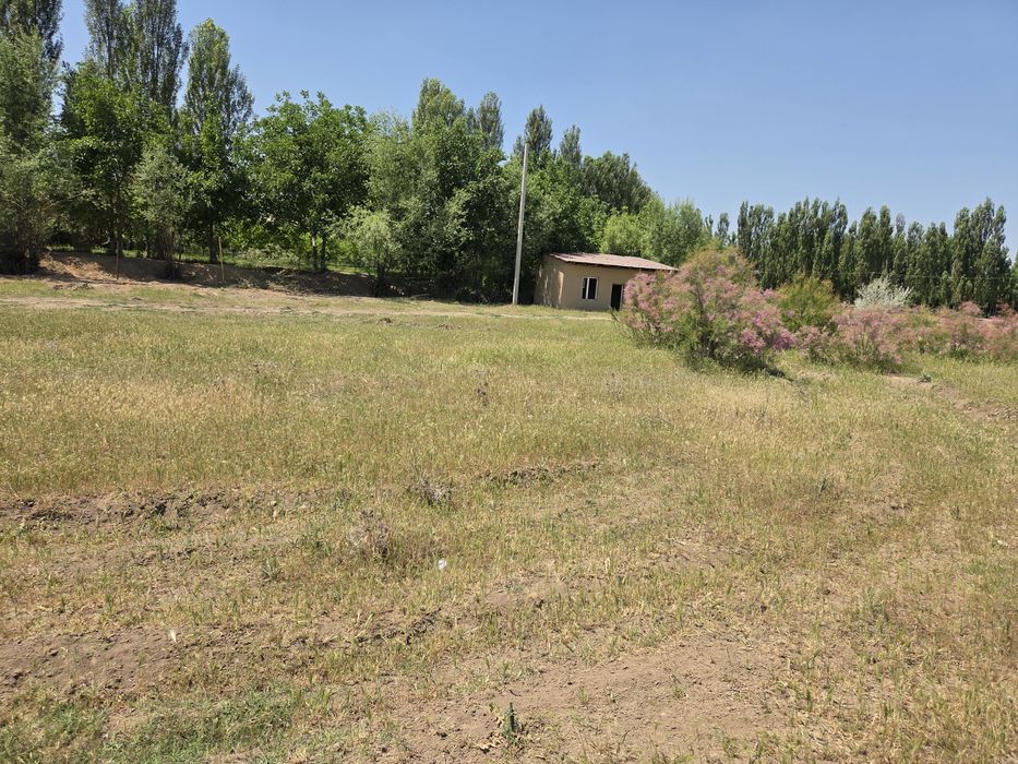 Дача  сотилади 8 сотих