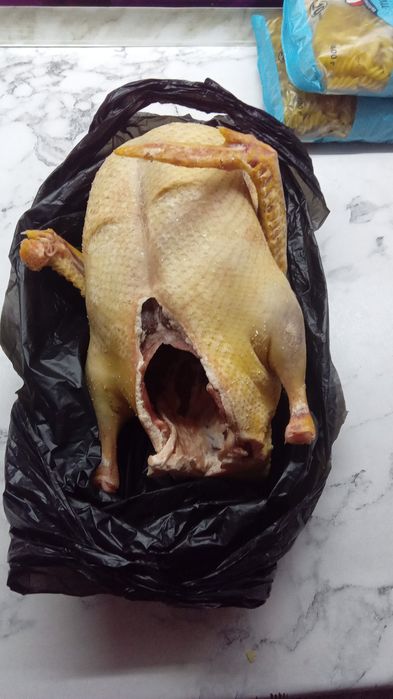 Продам индоуток  молодые