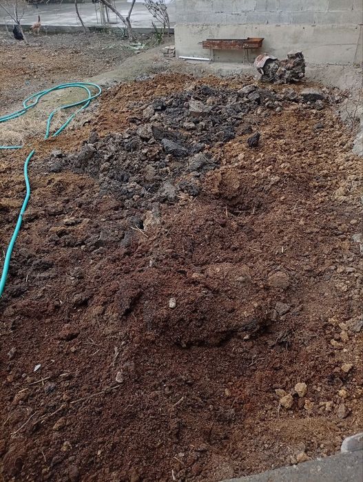 Угит чириган таёр сотилади