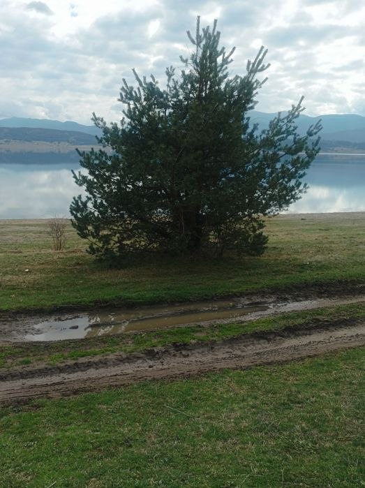 Продава се Земеделски имот в Батак -  кв.м за 22 €/дка - Снимка #1