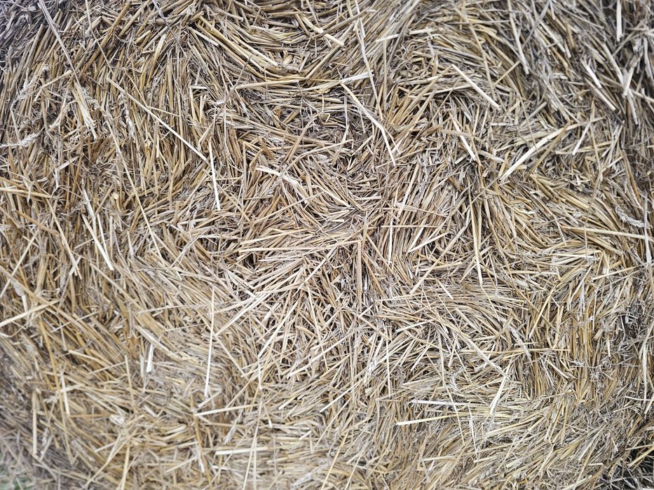 De vânzare baloti Rotunzi de paie