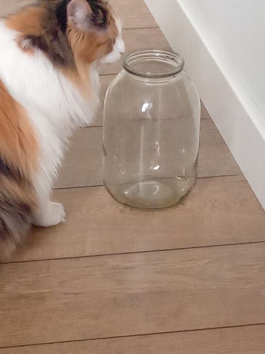 Банки стякленные