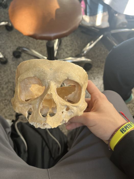 Meditatii Biologie Bac/Admitere- Anatomie si Fiziologie Corint