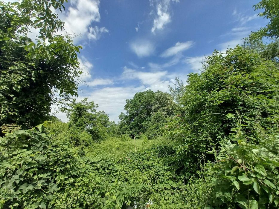 Продава се Парцел в Разград, Стефан Караджа - 2770 кв.м за 19 €/кв.м - Снимка #4