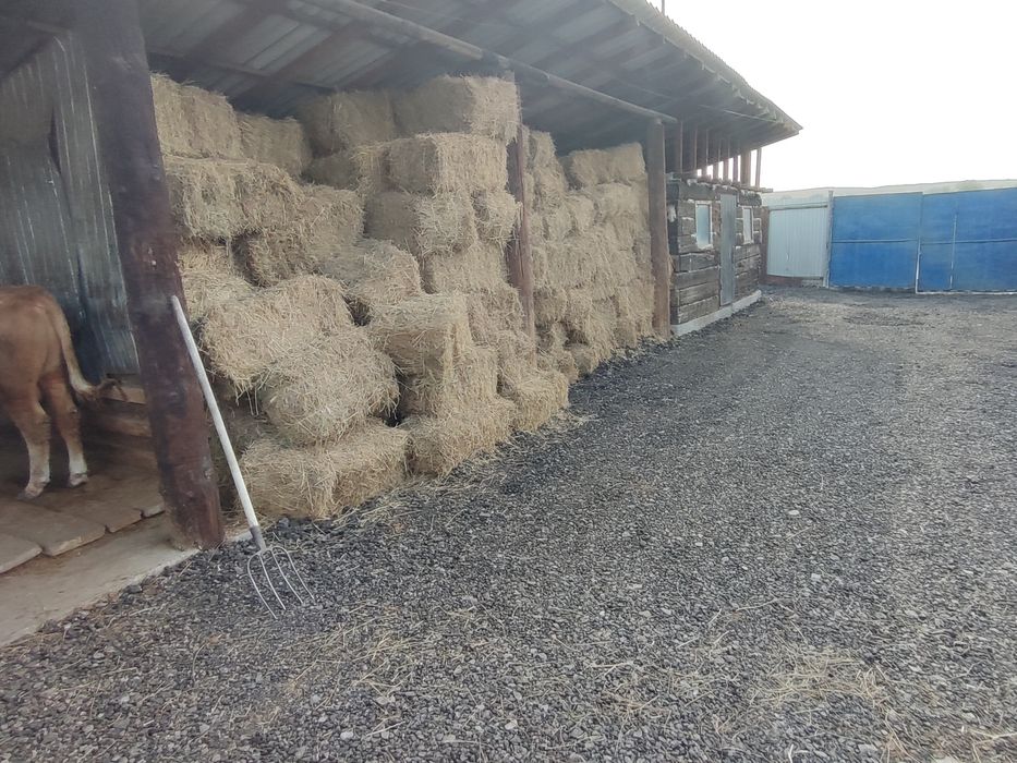 Продам дом продам дом продам дом