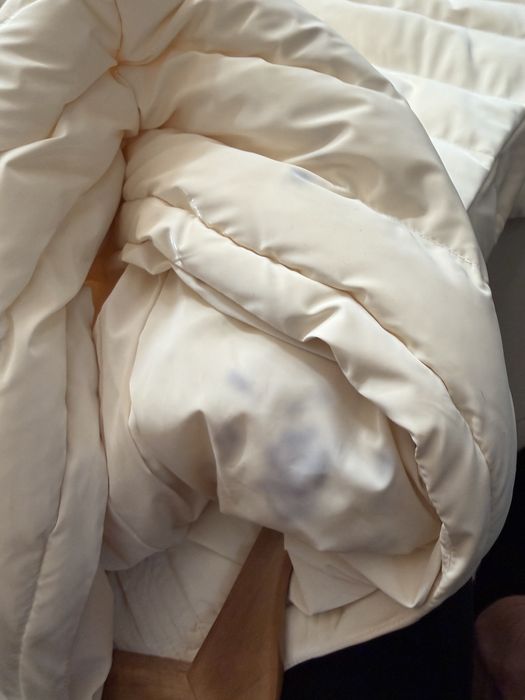 Зимно яке Pinko , Moncler