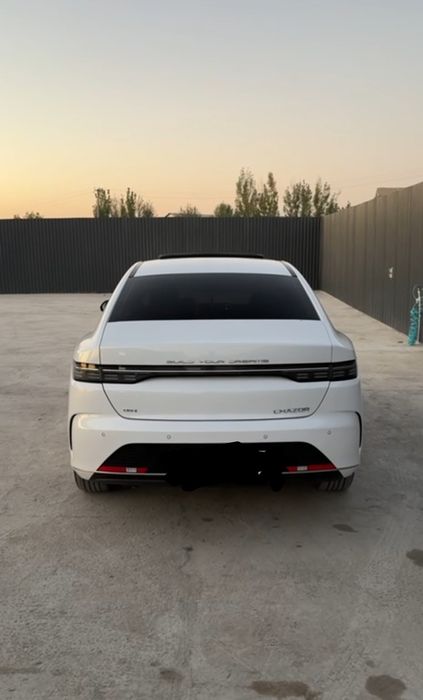 BYD Chazor eng fuli, 4-pozitsiya