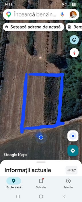 Vând Teren Intravilan, Branistari  1000m2, Deschidere 21,33m