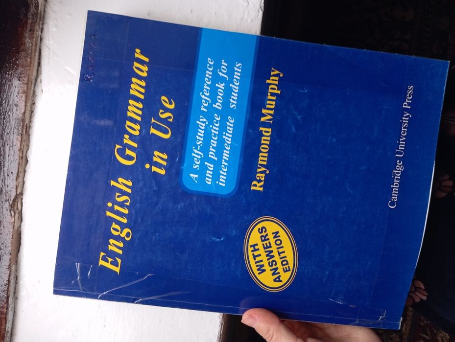 Blue  Murphy  english grammar in use