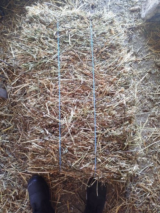 Baloți fân și lucernă