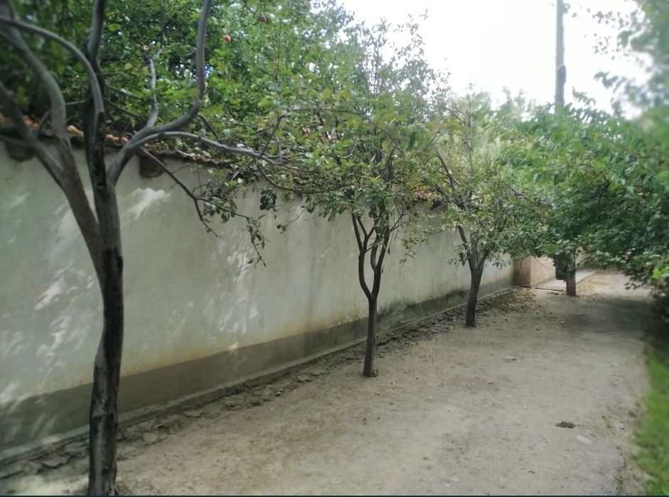 Уй сотилади, Қибрай, Ботаника санатория,Оқ қовоқ МФЙ