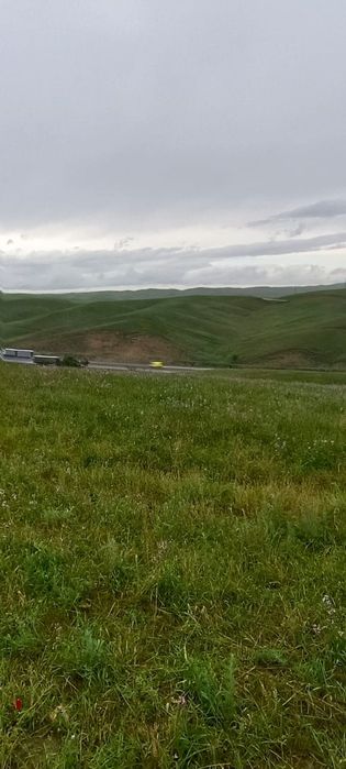 Земля 12 га в узынагаш