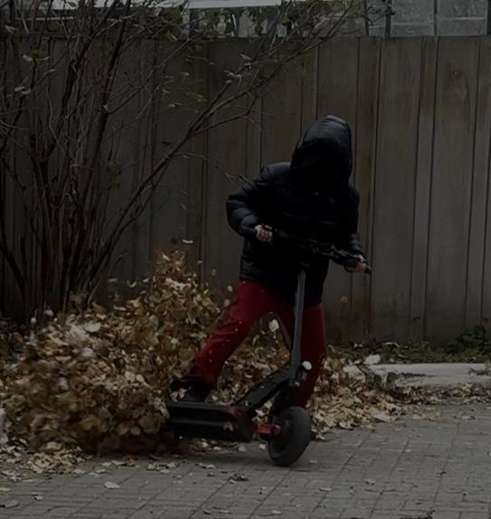 Электро самокат joyor s10s