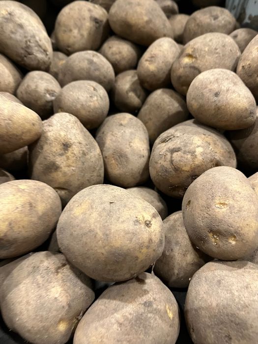 Продам картофель оптом