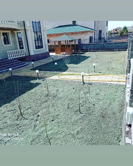 Газон, гидропосев.