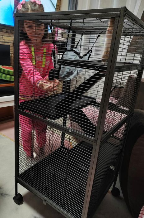 Cusca rozatoare mari, Pawhut (hamsteri, veverite)