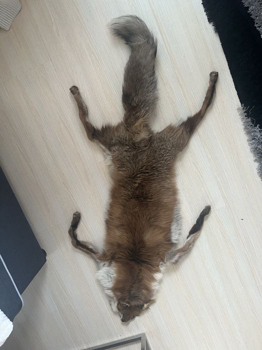 кожи от животни обработени