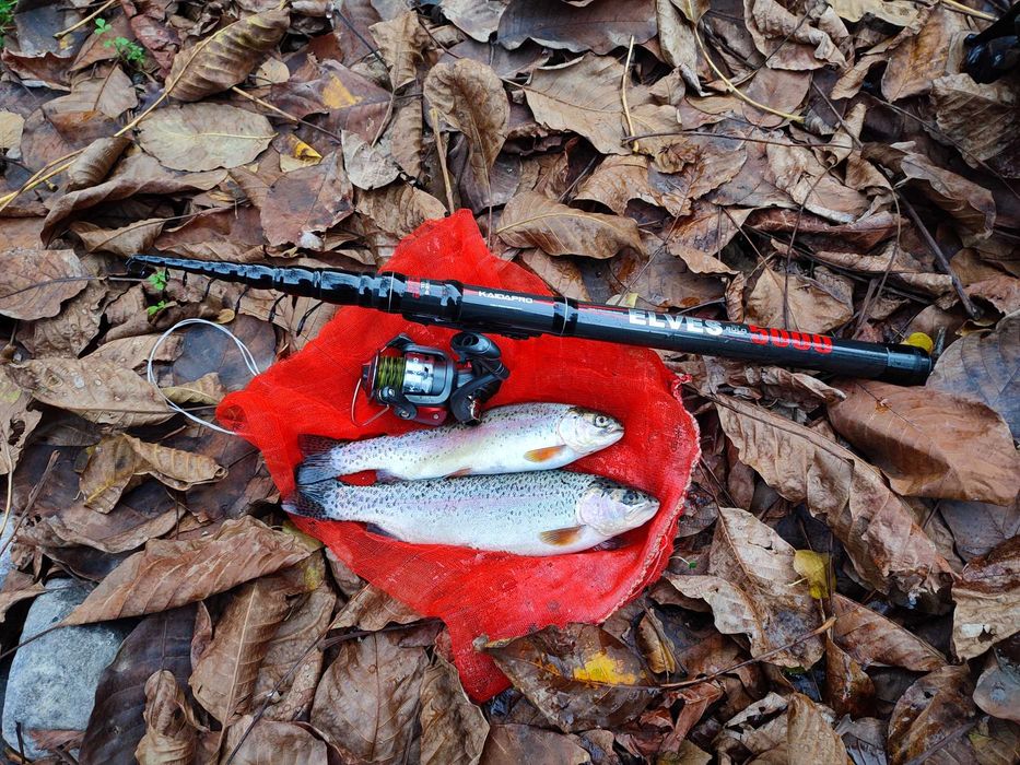 Походы индивидуальные и рыболовные туры по горам Узбекистан