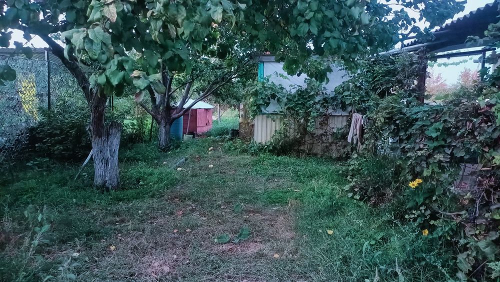 Продам дачу с домиком