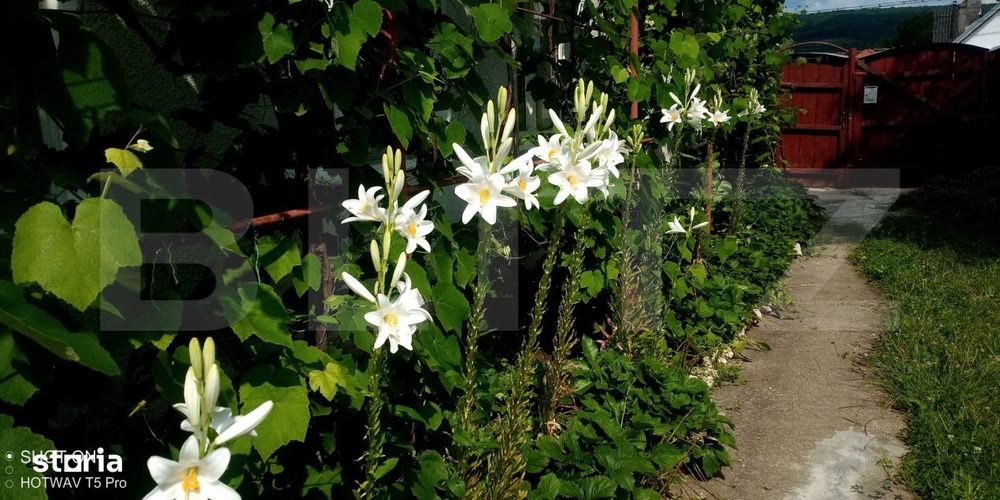 Casa de vanzare in comuna Homorod – liniste, confort si natura