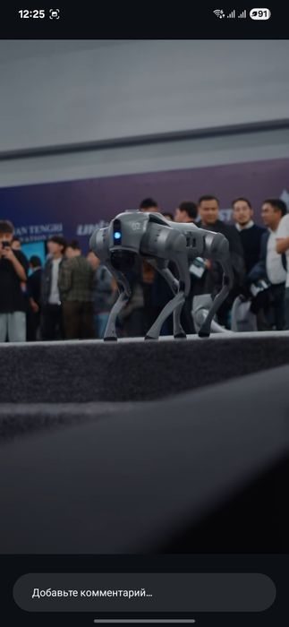 Робот собака Go2 Прокат