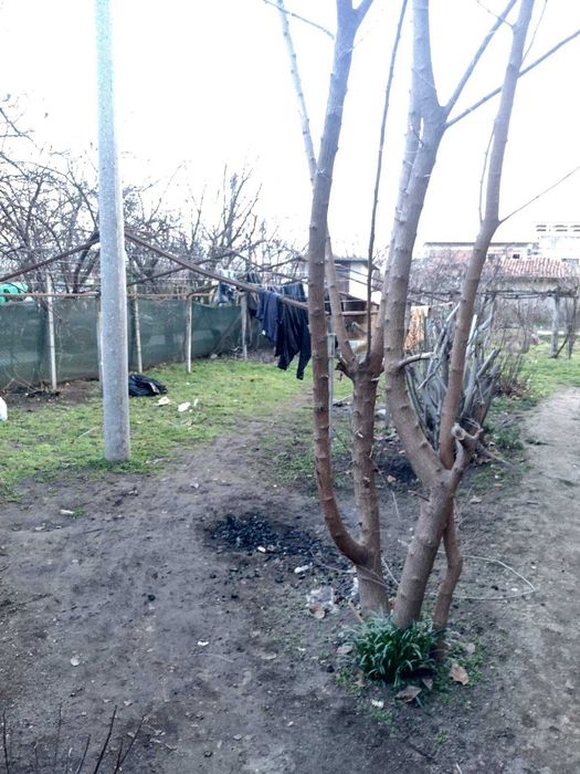 Продава се Къща в с. Цалапица, Област Пловдив - 1100 кв.м за 59 €/кв.м - Снимка #11