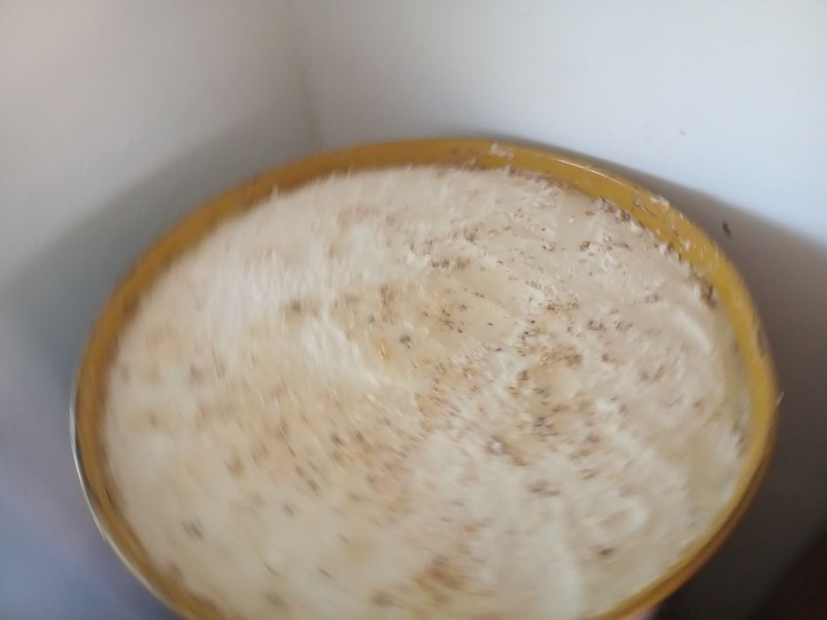 Vand miere salacam si rapita