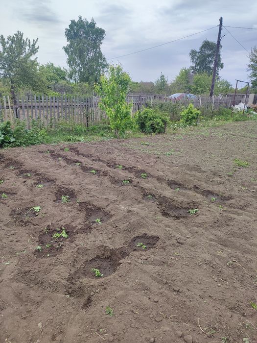 Продам дачу Сад Здоровье