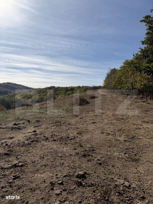 Teren extravilan in suprafata de 3 hectare