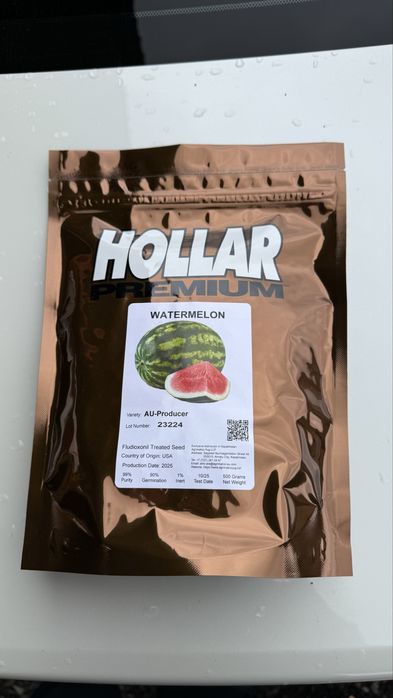 Холлор Дарбыз Ұрық