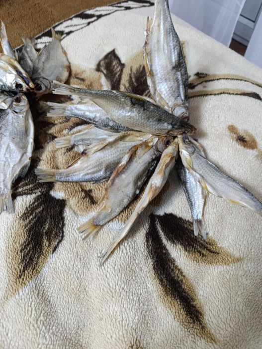 Продам рыбу сушенную