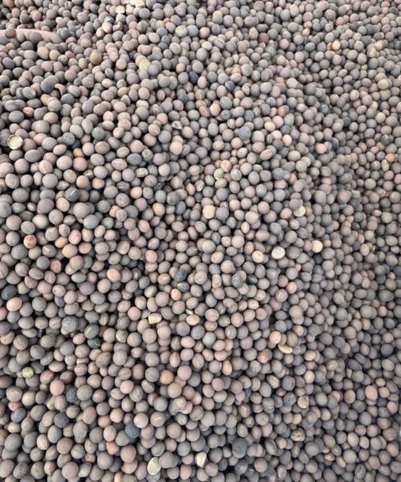 Sămânță Lucerna Certificata, Sparceta, Trifoi, Mazariche, Iarba, Bromu