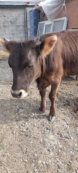 Срочно продам за 400000